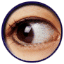 eye.gif (16684 bytes)